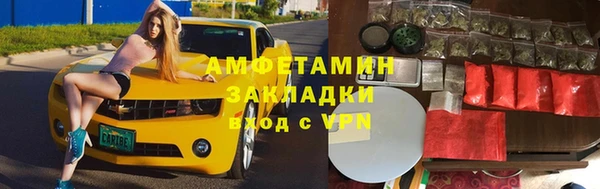 ГАЛЛЮЦИНОГЕННЫЕ ГРИБЫ Абаза