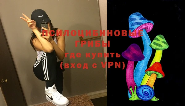 ГАЛЛЮЦИНОГЕННЫЕ ГРИБЫ Абаза