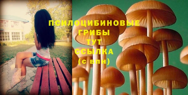 наркотики Новодвинск