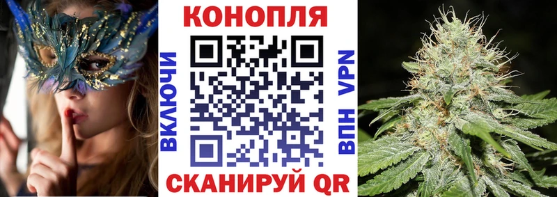 Каннабис MAZAR Приволжский