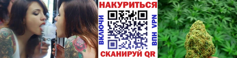 Канабис MAZAR  Приволжский 